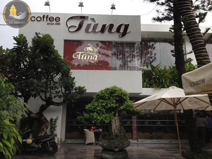 Caffe tùng Phú Yên